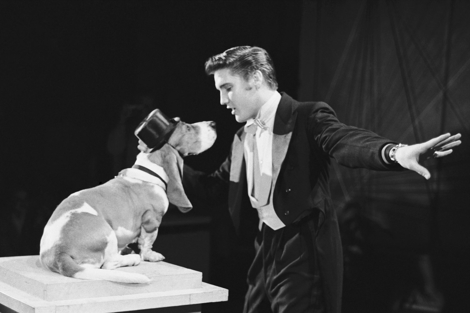 Hound Dog - Elvis presley